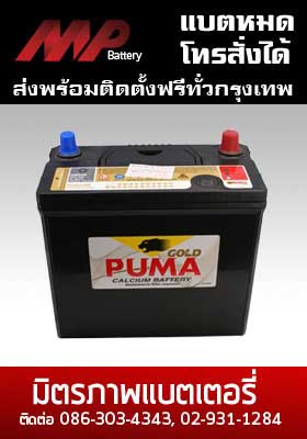 battery puma-ns60